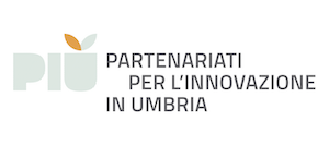 PIU - PARTENARIATI PER L'INNOVAZIONE IN UMBRIA